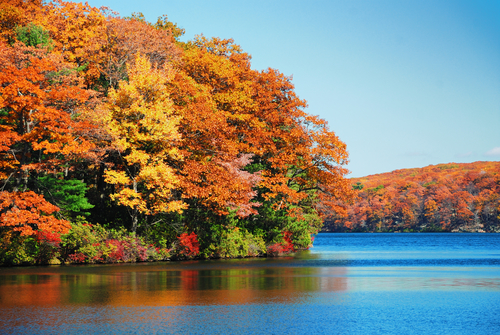 Best Spots for Fall Foliage Viewing Around Ronkonkoma