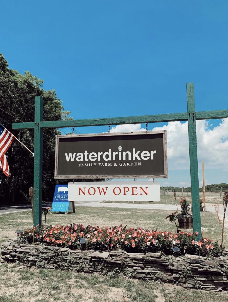 A Sensational Spring Destination on Eastern Long Island for All Ages